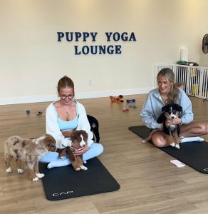 Puppy Yoga Lounge playful with dogs