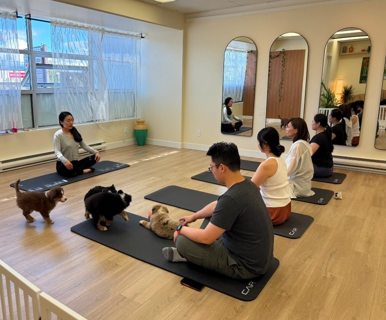 Puppy Yoga Richmond Corporate Event