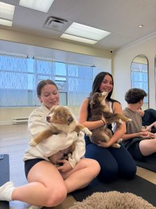 Puppy Yoga Lounge birthday event