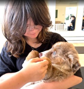 Amanda Ho Puppy Yoga Lounge